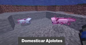 ajolotes minecraft